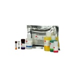 3m-allergen-testing-pecan-protein-elisa-kit-center-left-out-of-package