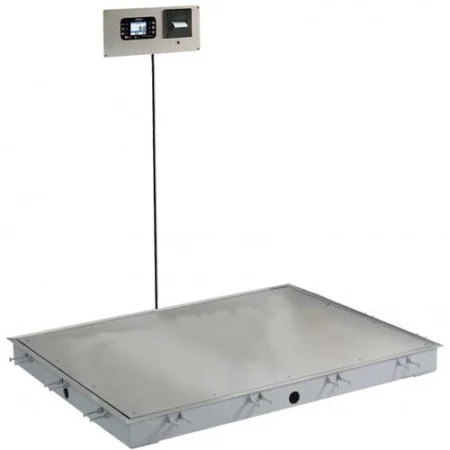 In-Floor Dialysis Scale, 48"x48" SS Deck, Hand Rail, 855 Recessed Wall-Mount Indicator w/ Printer