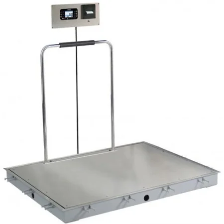 In-Floor Dialysis Scale, 72"x48" SS Deck, Hand Rail, 855 Recessed Wall-Mount Indicator w/ Printer