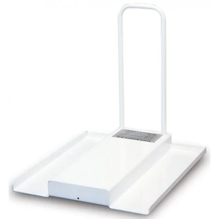 Detecto 3PRAMP Ramp Accessory For Model 485